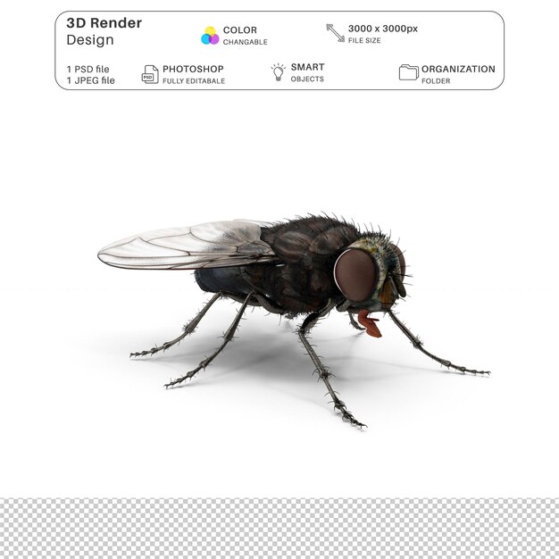 PSD ハウスフライ 3dモデリング psd ファイル 現実的なハウスフライ