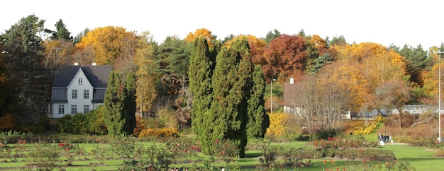 a house is seen behind a tree with a house in the background