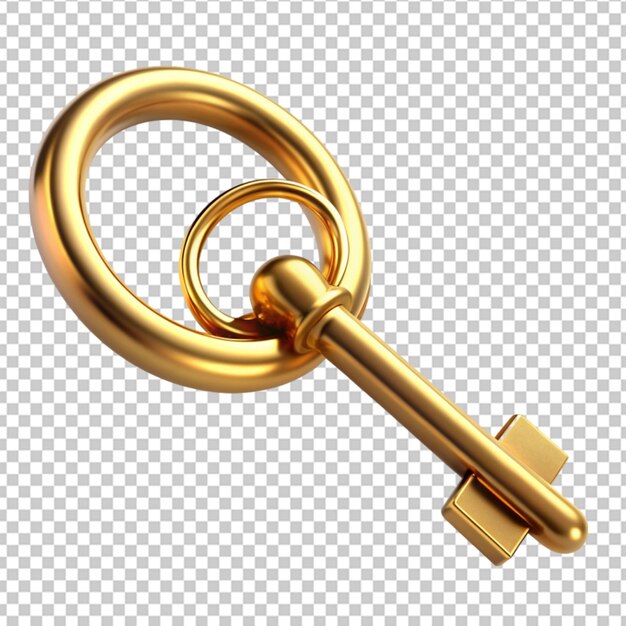 PSD house key