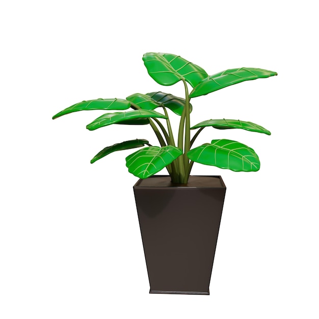 House plants 3d illustration