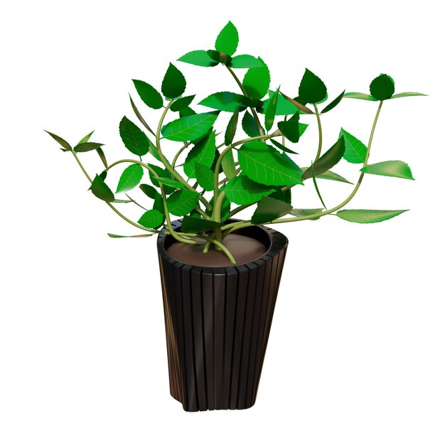 PSD house plants 3d illustration