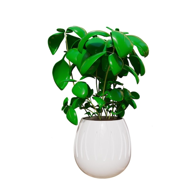 house plants 3d illustration