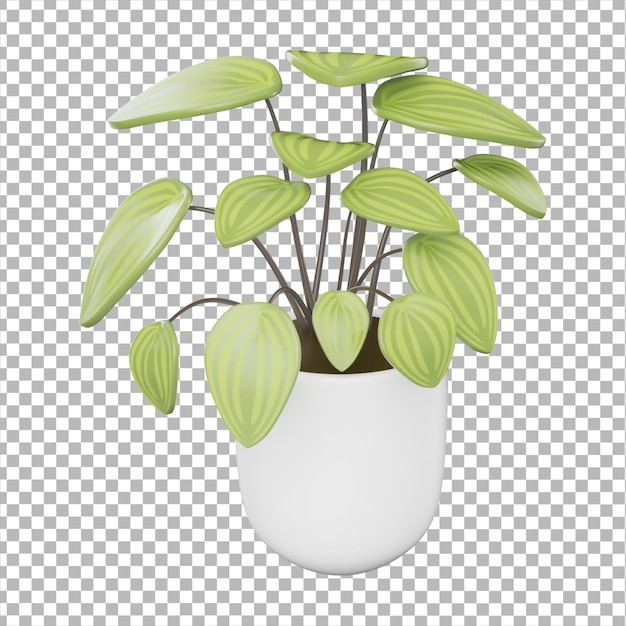 Houseplant 3D Illustration