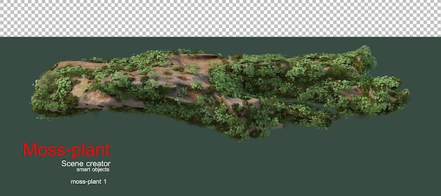hout met planten en mossen