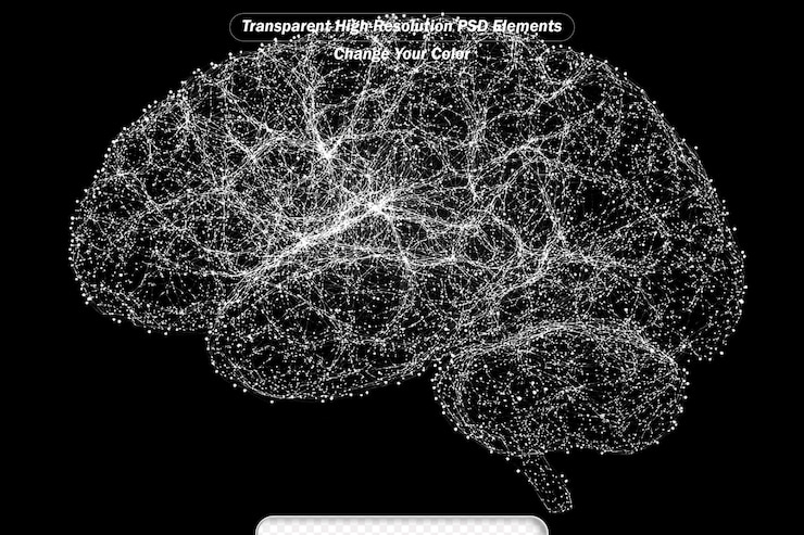 PSD human brain made of neuronal network