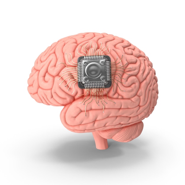 human brain with implanted microchip lighted psd files highquality brain modeling illustrations
