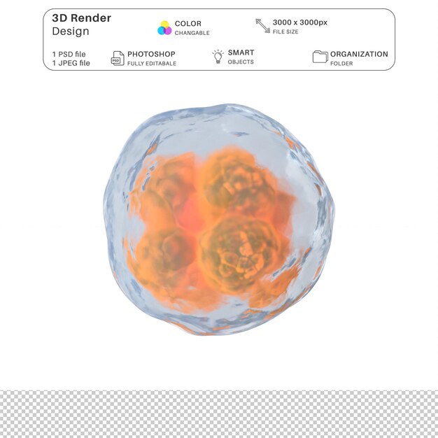 PSD 人間の細胞 3d モデリング psd ファイル リアルな人間の解剖学