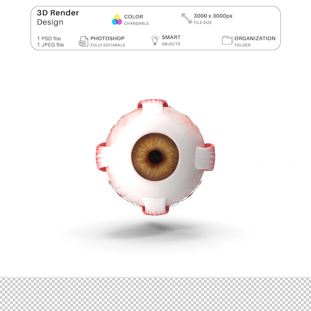 PSD human eye ball 3d modeling psd-bestand realistische menselijke anatomie