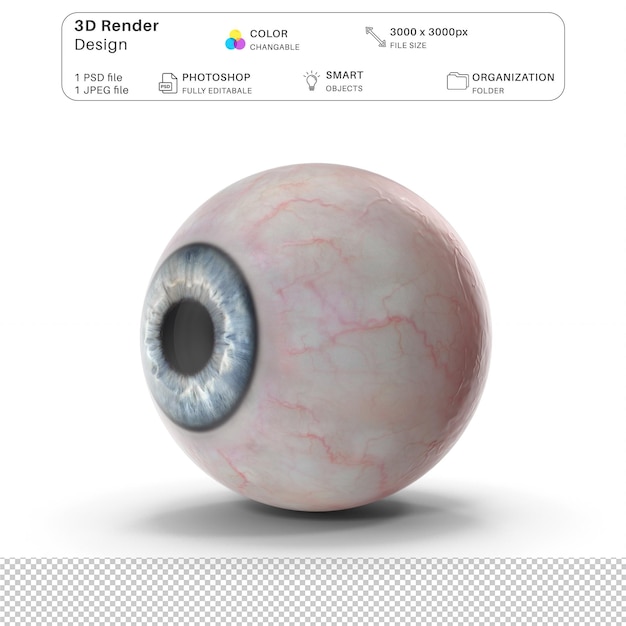 PSD Человеческий глазный шар 3d моделирование psd файл реалистичная человеческая анатомия