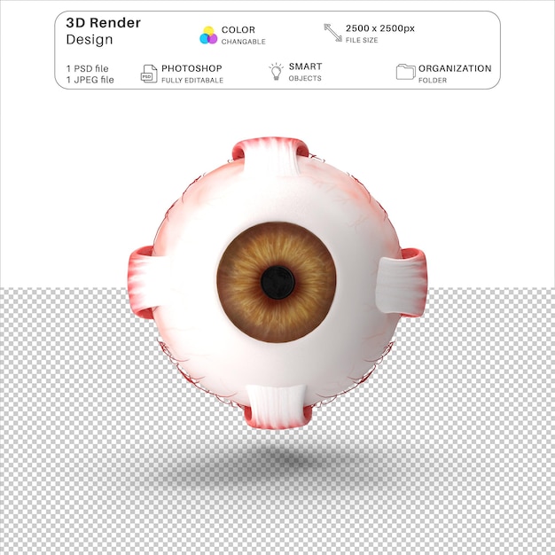 PSD human eye ball 3d modeling psd file