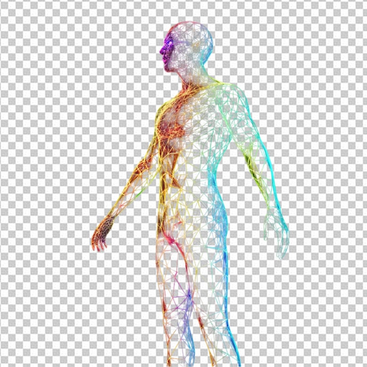 PSD human hologram 3d geometrie