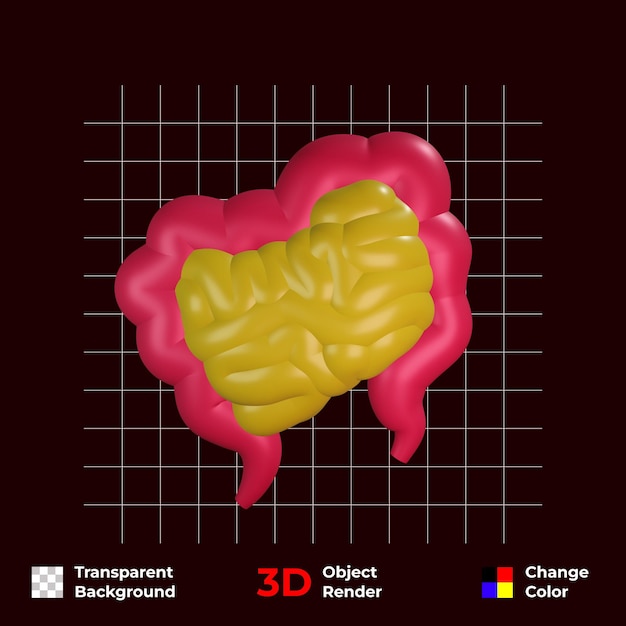 PSD Иллюстрация кишечника человека 3d прозрачный фон и изменение цвета psd