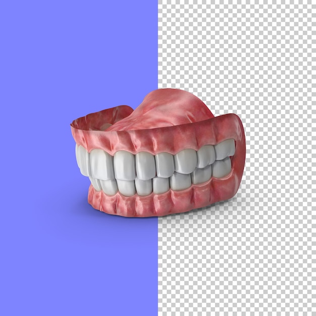 PSD Человеческая челюсть рот