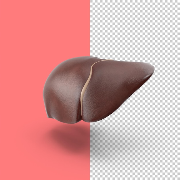 PSD human liver