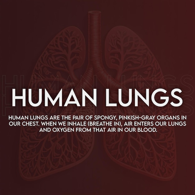 PSD human lungs