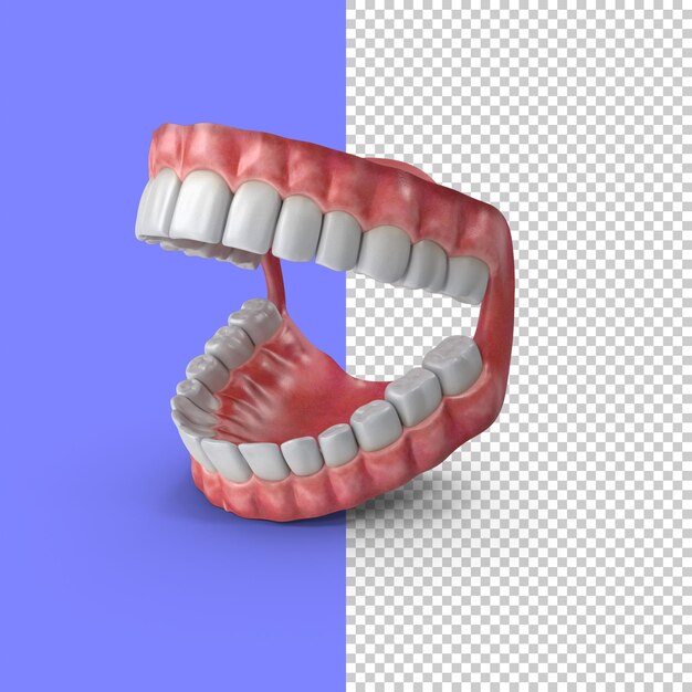 PSD human mouth