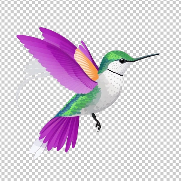 PSD humming bird vector illustration