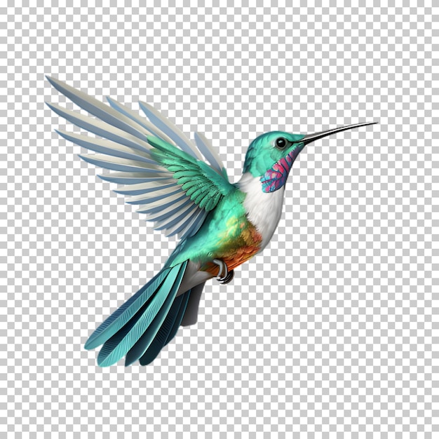 PSD hummingbird on transparent background