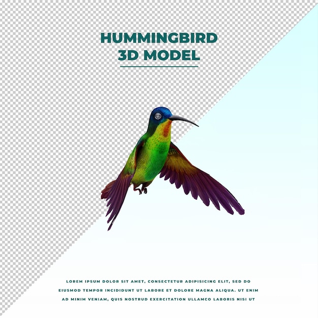 PSD hummingbird