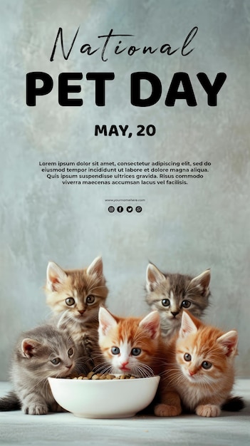 PSD hungry kittens gather to eat five cats sitting excited national pet day concept