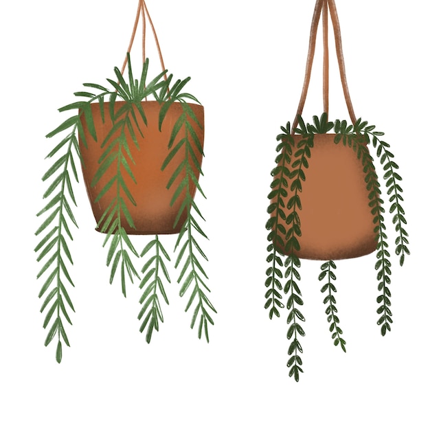 I am delighted to inform you that we have recently added a collection of hanging pots