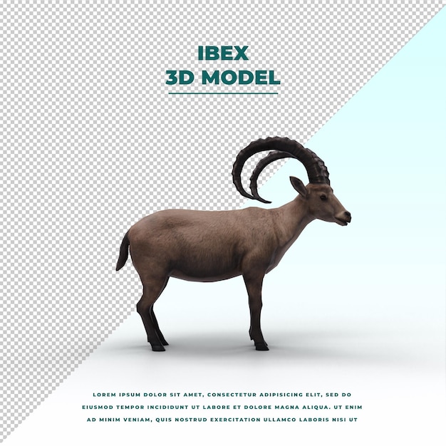 PSD ibex mountain goat