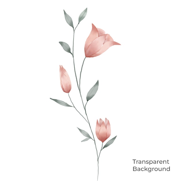 PSD illustratie van bloem aquarel transparante achtergrond gemaakt met voortplanting
