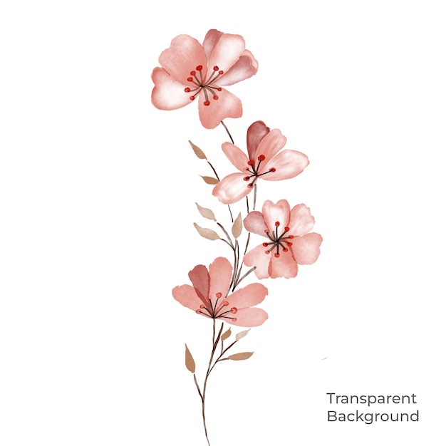 Illustratie van bloem aquarel transparante achtergrond gemaakt met voortplanting