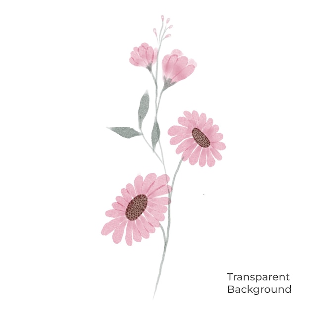 PSD illustratie van bloem aquarel transparante achtergrond gemaakt met voortplanting