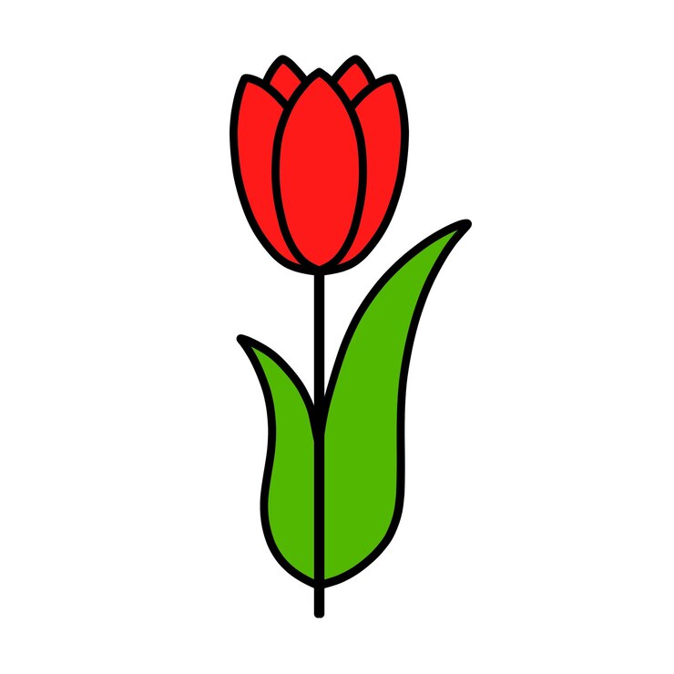 PSD illustratie van een rode tulpbloem met omtrek