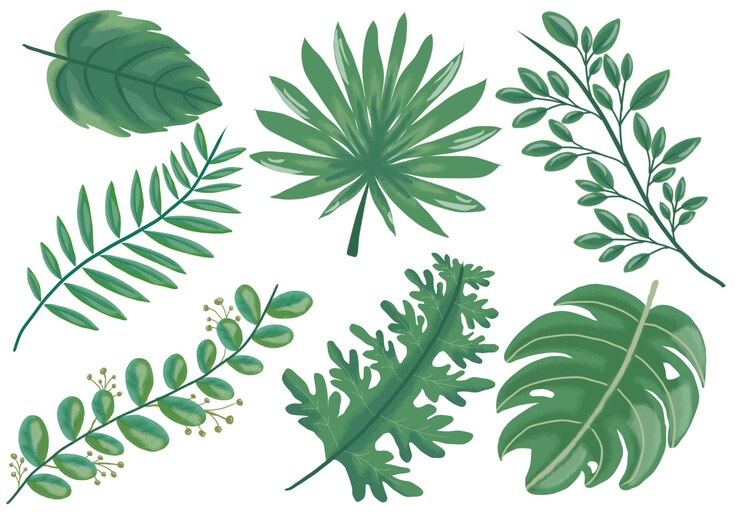 Illustratie van groene bladeren
