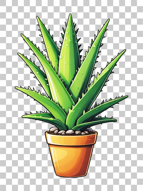 Illustration of aloe vera plant in pot on transparent background