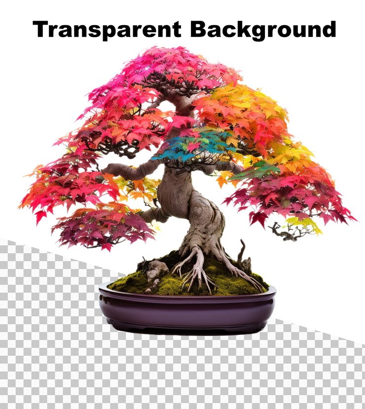 PSD an illustration of a bonsai with many colored leaves on transparent background