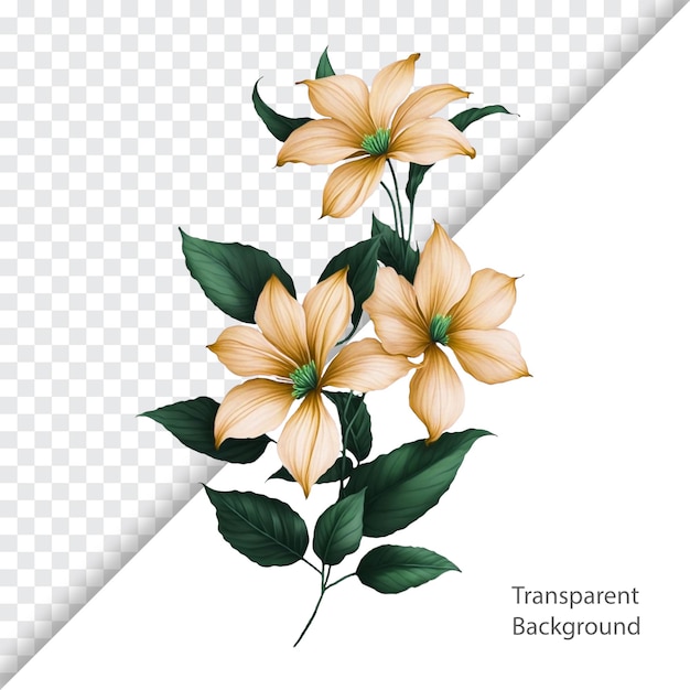 illustration of flower transparent background