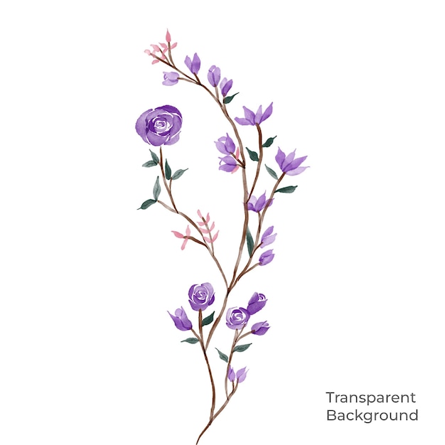 PSD illustration of flower watercolor transparent background created with procreate