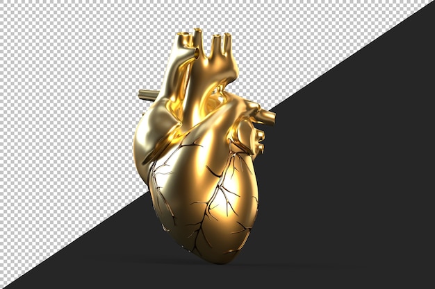 Illustration of golden human heart