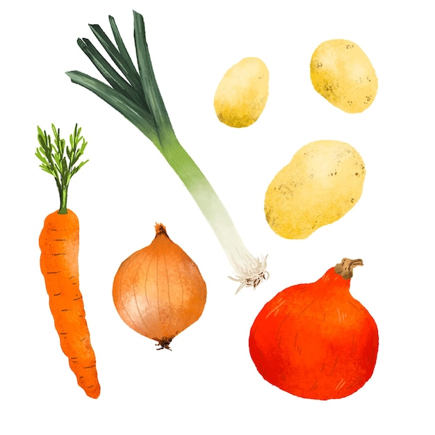 PSD illustration of isolated winter veggies