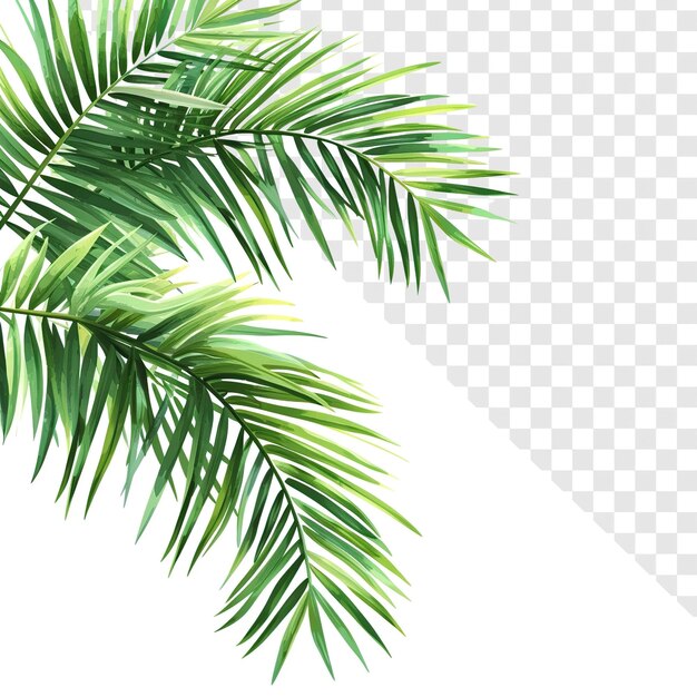 PSD illustration of jungle palm branch on transparent background