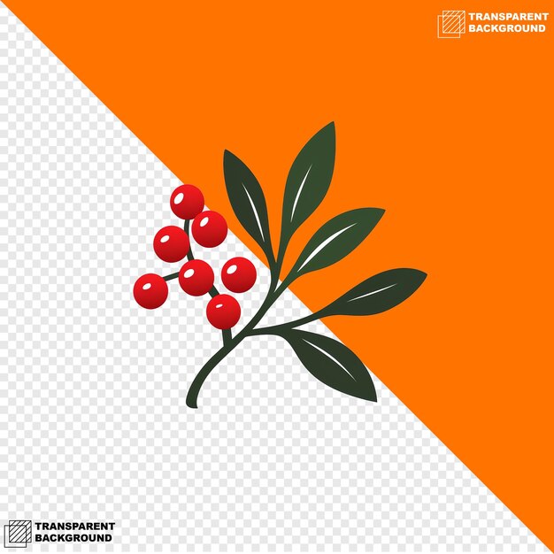PSD illustration of mistletoe about christmas