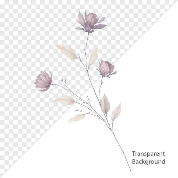 PSD illustration of png watercolor flower transparent background