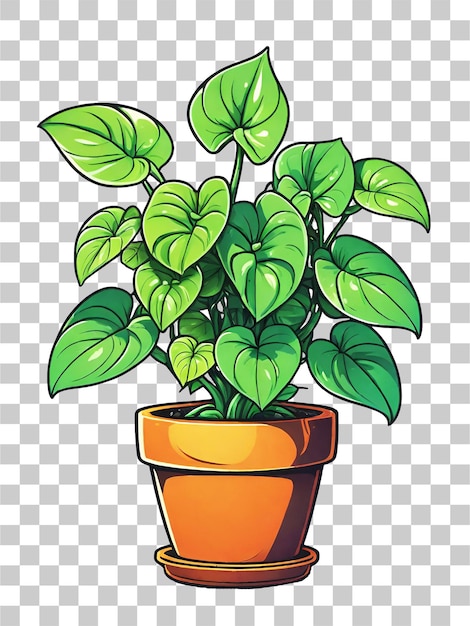 Illustrazione di una pianta pothos in un vaso su uno sfondo trasparente