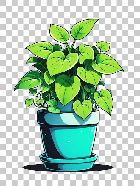 Illustration of a pothos plant in a pot on a transparent background