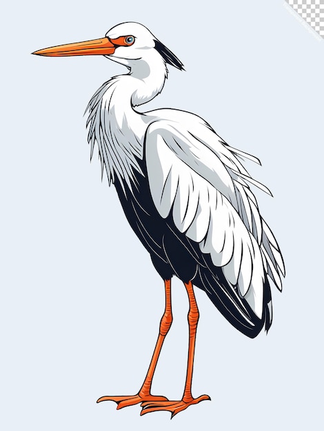 PSD illustration of stork