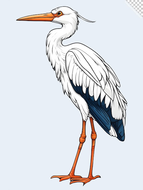 Illustration of Stork