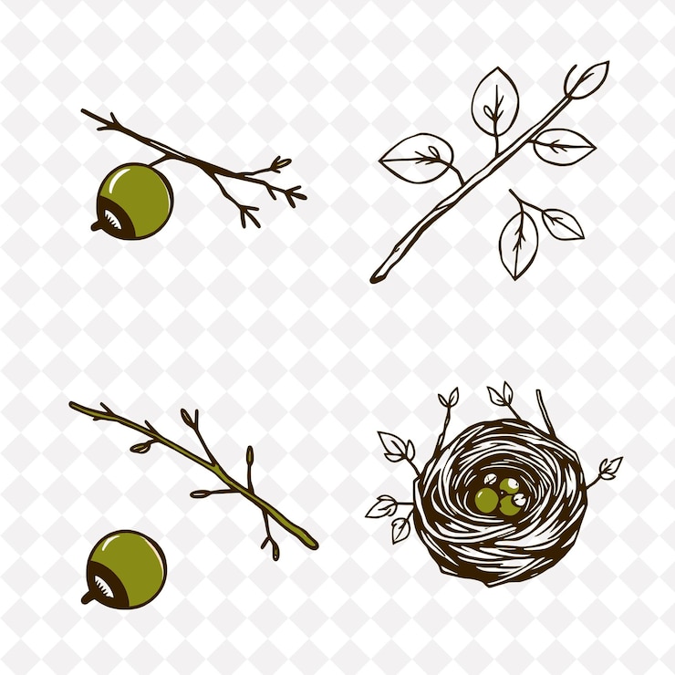 PSD illustrationacorns twigs leaves bird nests acorns fallen to the ground twigs crisscrossed natural