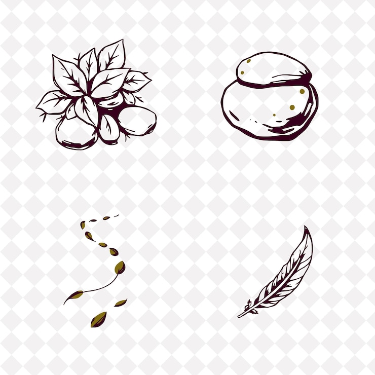 PSD illustrationleaves stones animal trails bird feathers leaves creating a soft blanket stones worn