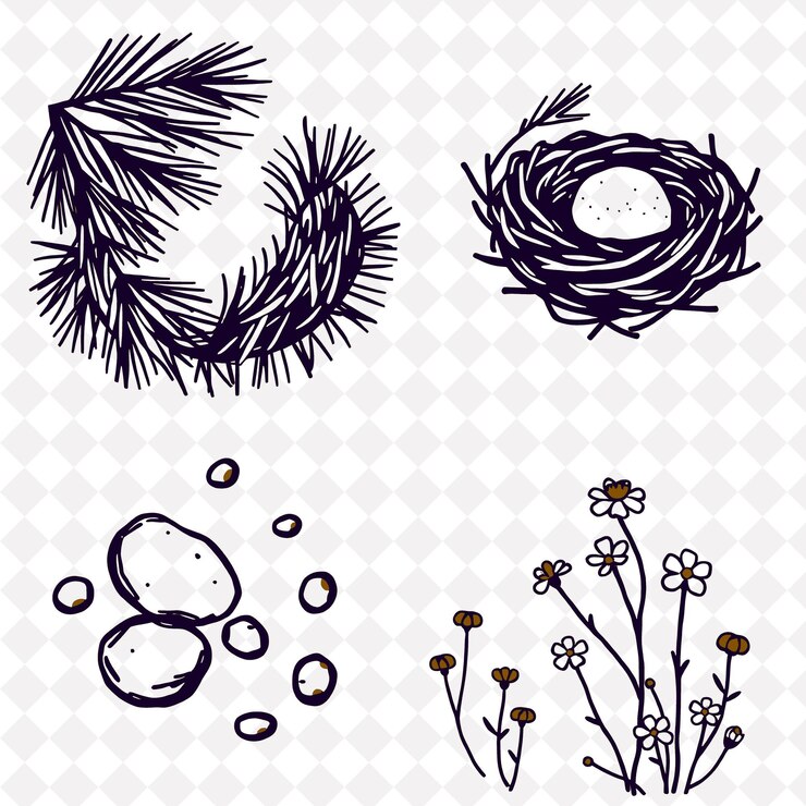 PSD illustrationpine needles bird nests stones flowers pine needles forming thick mats bird nests hig