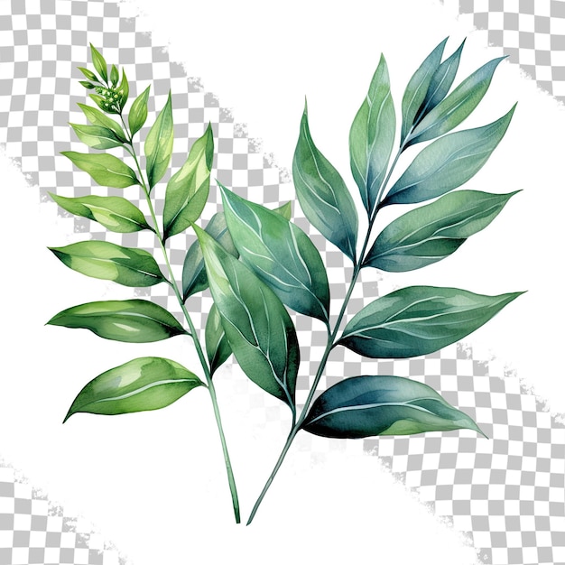 PSD illustrations of tropical plants for beautiful design watercolor painted branches with green leaves perfect for spring or summer invitations weddings or greeting cards transparent background