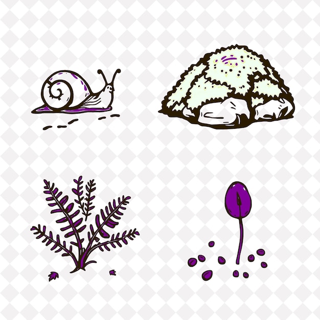 illustrationsnail moss fern seed a snail leaving a trail moss covering rocks ferns growing wildly