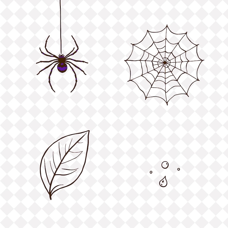 PSD illustrationspider web leaf vein dewdrop a spider spinning its web the web shimmering in light le
